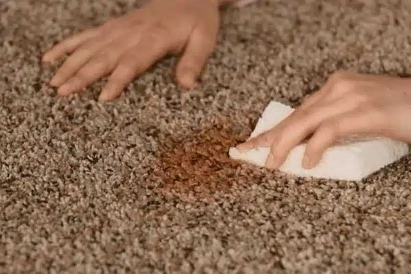 Carpet Stain Removal Melbourne