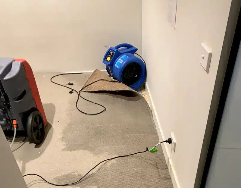 Carpet Blower Hire Service Melbourne