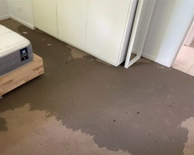 Washing Machine Flood Damage on Carpet 