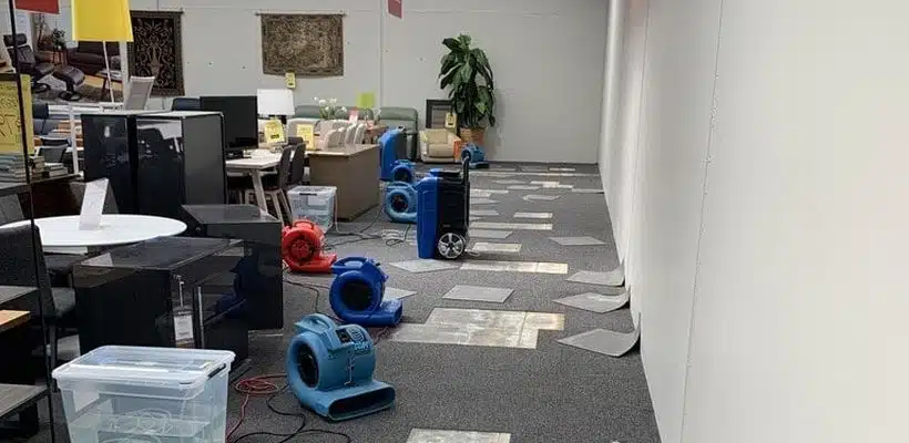 Drying carpet tiles in commercial premises 