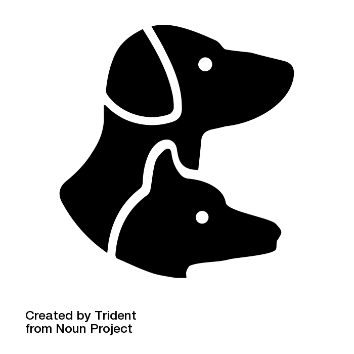 Pet stains & odour cleaning